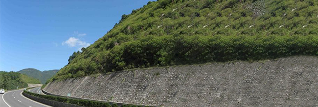 隧道在線監測以陣列式位移計、靜力水準儀,激光傳感器、應變計為核心，配套RTU實現對